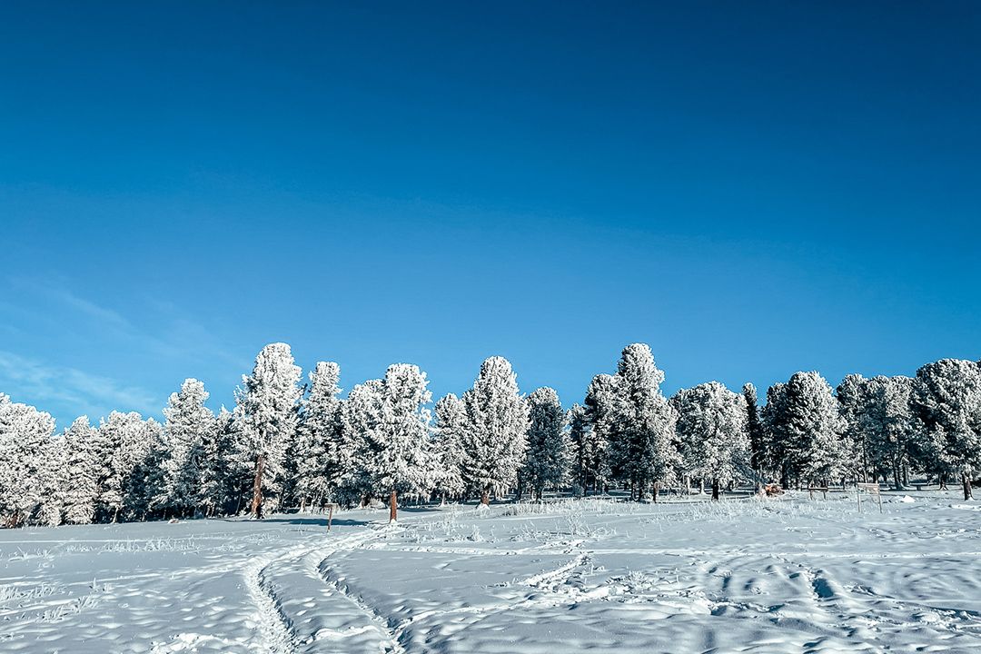 Программа тура День 1