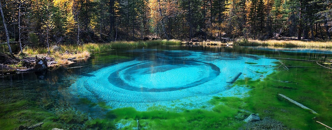 Рекламный тур "Лучшее на Алтае" 2024