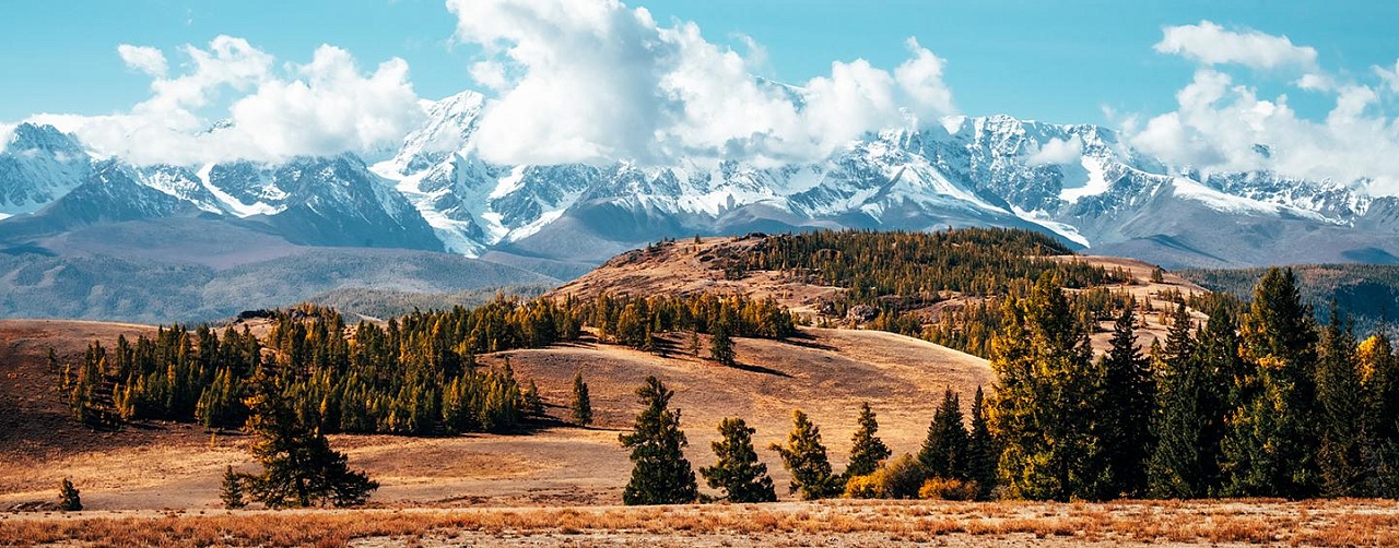 Рекламный тур "Лучшее на Алтае" 2024